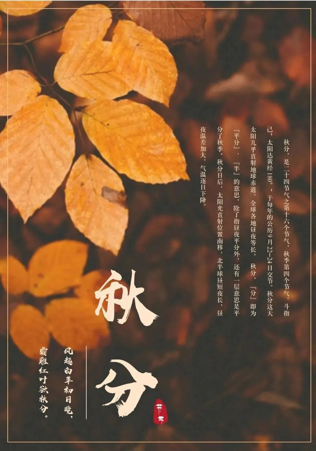 洋溢着丰收的喜悦1.jpg